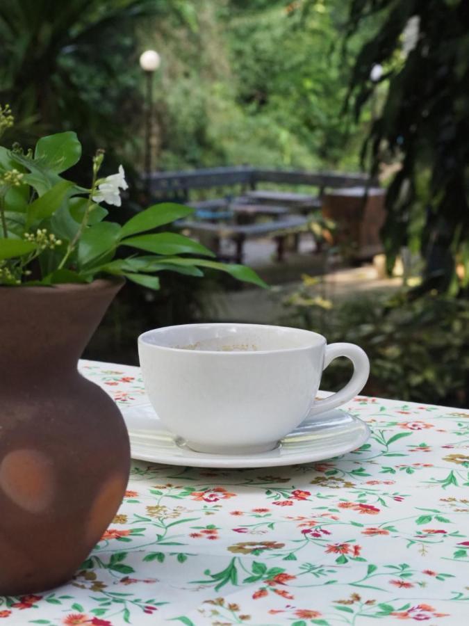 Chomklong Experience Bed and Breakfast Pak Chong Exteriör bild